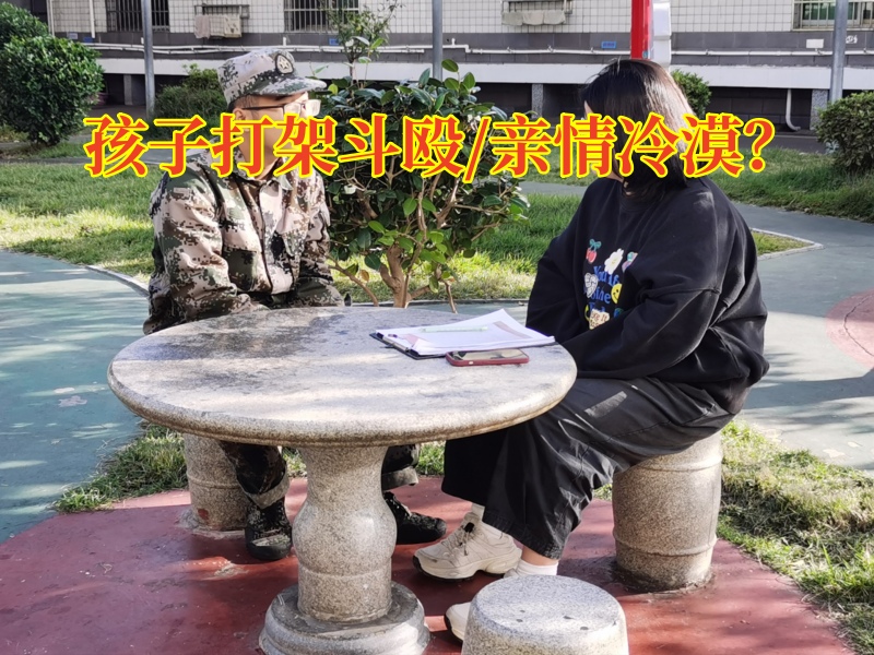 特训教育学校：孩子们为什么喜欢打架？
