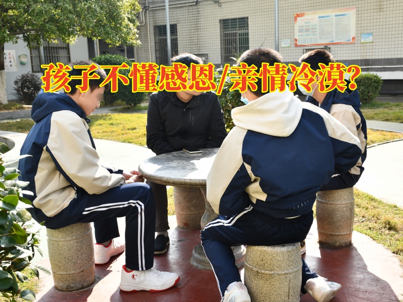 感恩教育叛逆学校教会孩子感恩